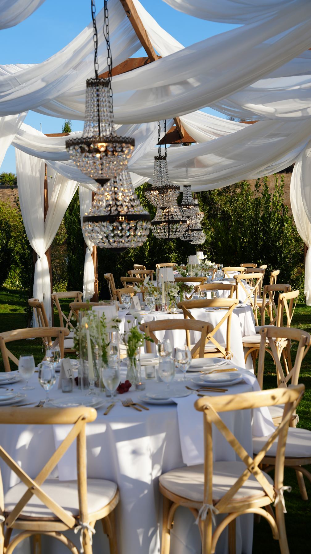 Jeune Perche, Fallbrook, CA 2